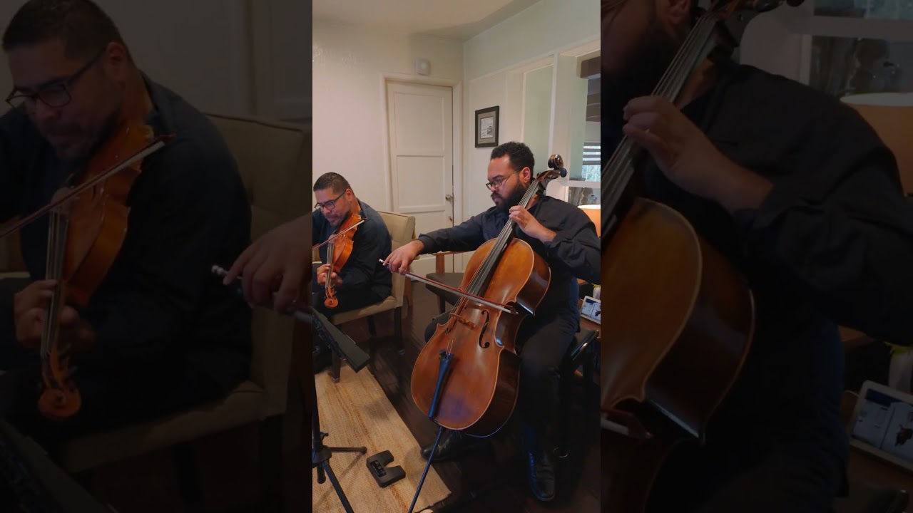 Promotional video thumbnail 2 for Latin String Quartet