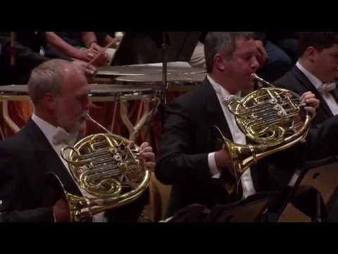 Brahms's 1st Symphony, Horn Solo