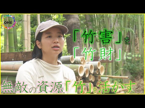 竹害 問題
