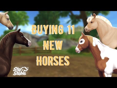 Buying 11 New Horses! | Star Stable Online