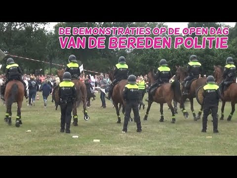 Opendag bereden politie met Daphne!