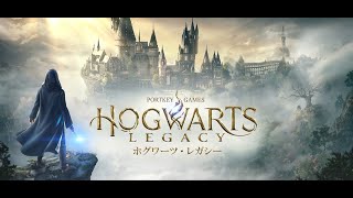 shunjoと漬物の石#2【ホグワーツレガシー】