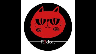 Brendan Ashmore feat. Haes - Young Right Now (R3dcat Remix Edit)