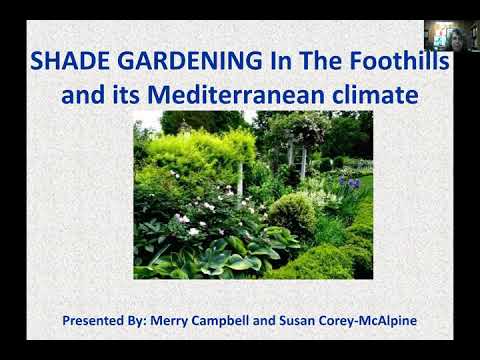 Shade Gardening, part 2 - 11-14-2020