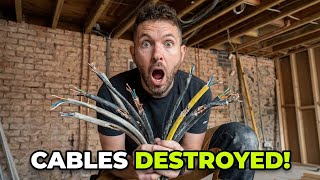 Who has DESTROYED my new cables?