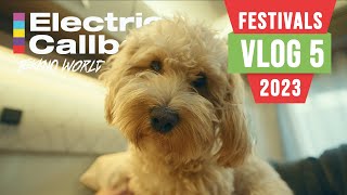 Electric Callboy - VLOG 5 // Festivals 2023 // ROCCO DEL SCHLACKO - TAUBERTAL - ALCATRAZ