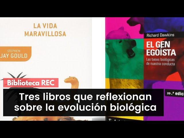 Vídeo relacionado con Mil·lenni (BIBLIOTECA UNIVERSAL EMPURIES)