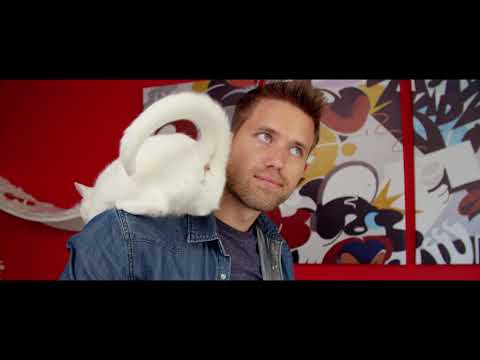 afbeelding Cat Daddies - Festival Teaser Trailer