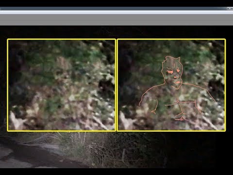 100% Bigfoot Pareidolia Series - Example 1