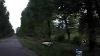 Cycling trip to Ukraine and Moldova in September 2007