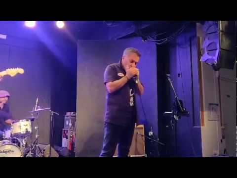 Prodipe St. Louis Harmonica Dynamic Microphone