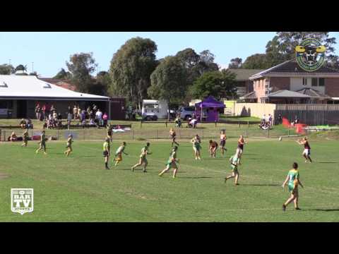 2017 Group 7 RL Round 5 LLT Highlights - Stingrays of Shellharbour Green v Shellharbour City Maroon