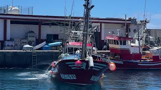 The best photos of Puerto de Morgan