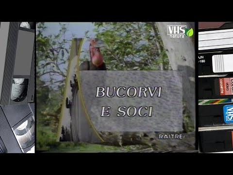 GEO, viaggio nel pianeta Terra - BUCORVI E SOCI