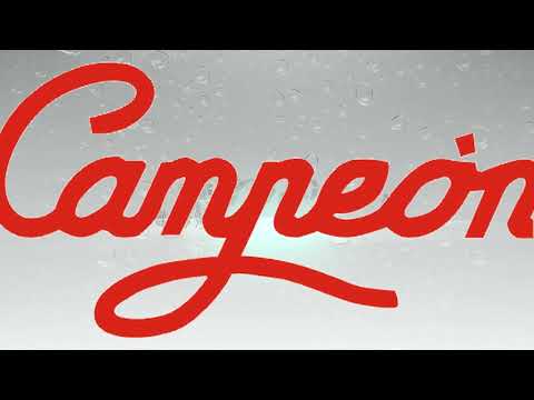 Pompe immergée eaux claires 300 watts - iFLO-300 CAMPEON