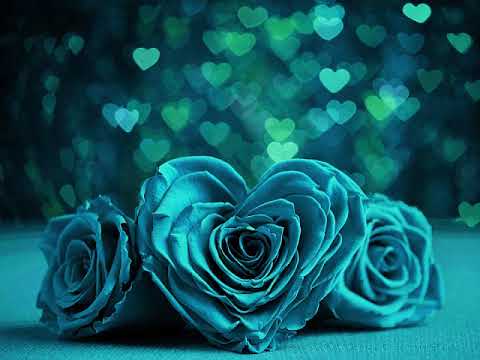 Naima - Halt Mich (Classic Edit)