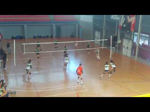 JUVENIL FEMENINO PRIMERA AUTONÓMICA C.V.SEDAVI - ILICITANO CARRUS