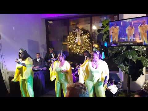 Mahogany Blue Lady Marmalade