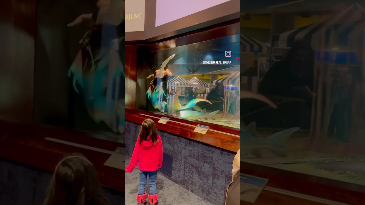 Promotional video thumbnail 3 for The Surreal Sirena Mermaid Entertainment