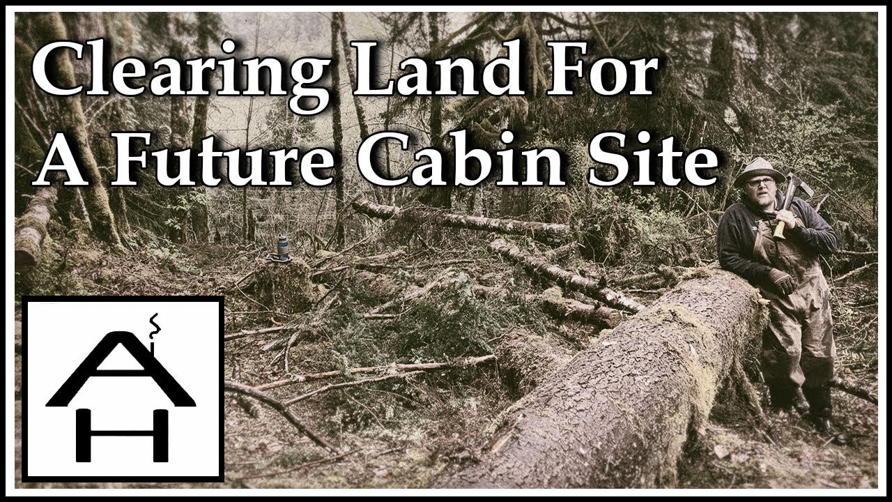 Clearing Land For A Future Cabin Site