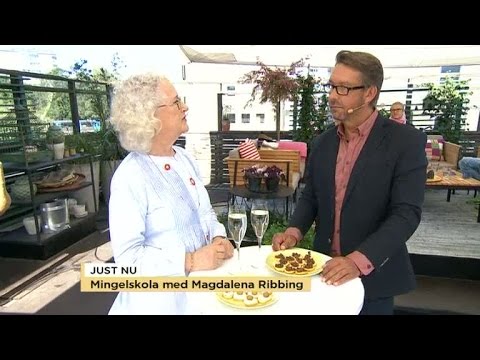 Mingelskola med Magdalena Ribbing  - Nyhetsmorgon (TV4)