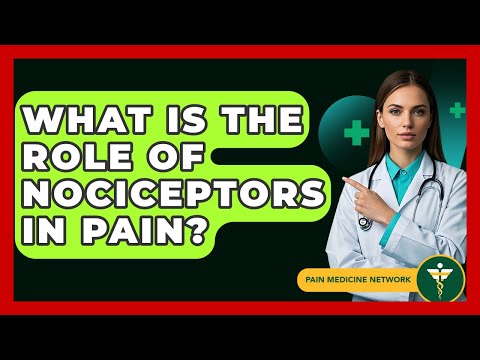 What Is The Role Of Nociceptors In Pain? - Pain Medicine Network
