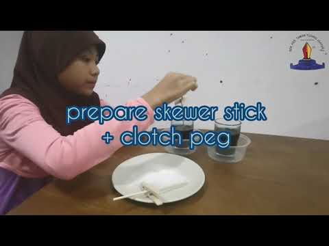 Science Yr5 Skewer Stick