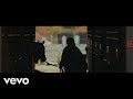 Billie Eilish Xanny Alternative Video