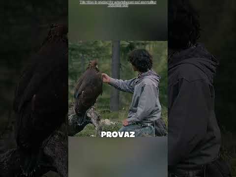 Chlapec zachránil orla a jejich přátelství dojalo celý svět! 🦅❤️