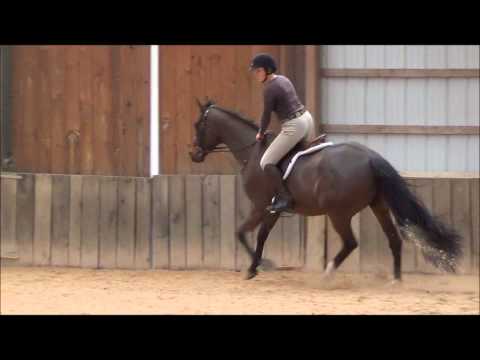 Children's/Adult Packer!