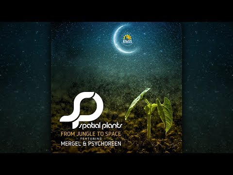 Spatial Plants, Mergel & Psychoreen - You Sick