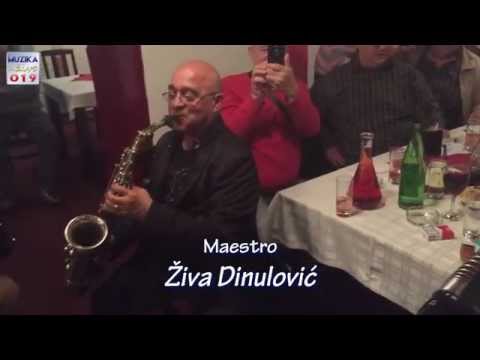 Ziva Dinulovic _ Na suvo UZIVO 2015 April // MuzikaUzivo019