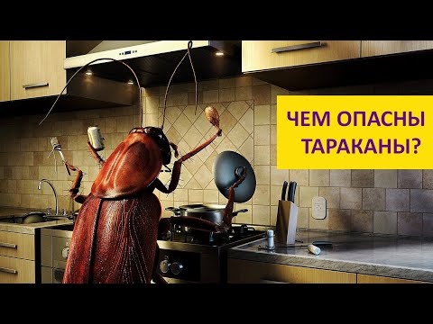 Дарвиновский музей Дети