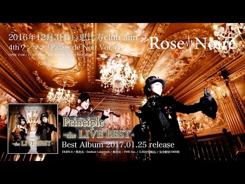 Rose Noire [Uncertainly] MV SPOT