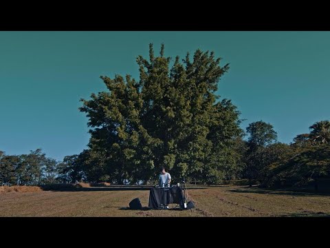 Nineteen Sines @ Live at 'Tree Of Life'