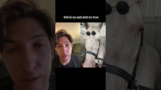 boy toy out august 18th 🐻 #satoru #Inverted