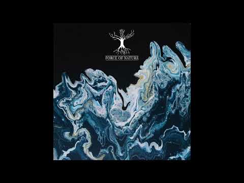 Motion Symmetry - Circles