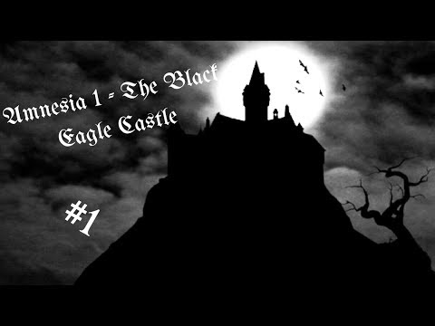 Amnesia 1 - The Black Eagle Castle #1: WHY ARE THERE NAKED MEN?