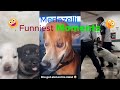 Medazelli TikTok Compilation Pt 1