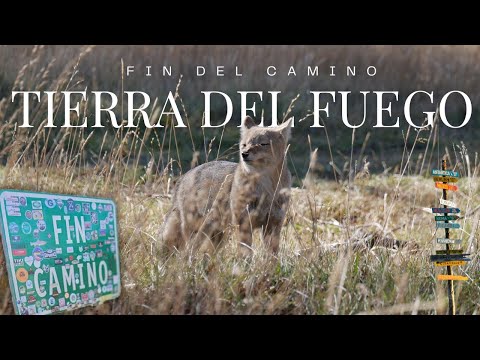 Aquí termina la ruta terrestre de Chile | Caleta María, Timaukel