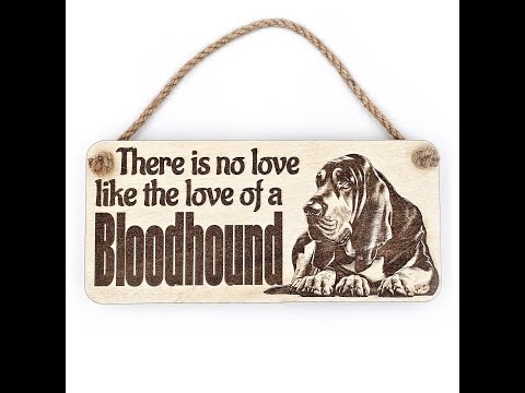 Bloodhound no love like Plaque