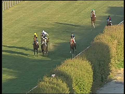 Galoppo 21/01/2017 - 1ª corsa