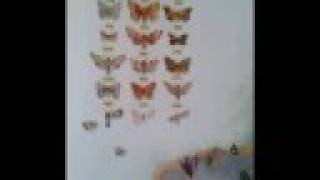 ATTICA BLUES / Tender (The Final Story)