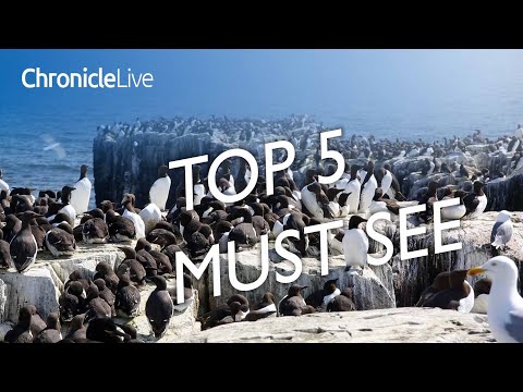 5 Must-See Places in the North East You Can't Miss in 2025!