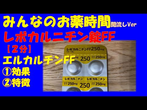 カルニチンについて詳しく解説