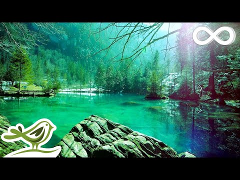 12 Hours of Relaxing Sleep Music for Stress Relief, Sleeping & Meditation (Flying)