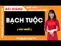 Bạch tuộc Ngữ văn lớp 7 Cánh diều