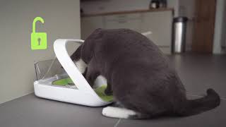 SureFeed Mikrochip Futterautomat Connect