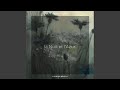 Chants de fleurs : III. Lumière de la nuit (feat. Laurine Moulin)