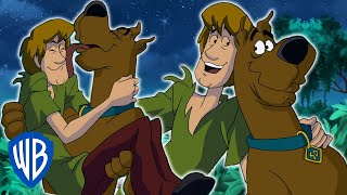 Cover art for Scooby and Me